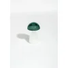 Baromètre Storm glass champignon vert