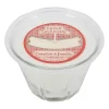 Bougie senteur fleur sureau 220g - Bougie Gourmand