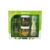 Coffret autour du basilic