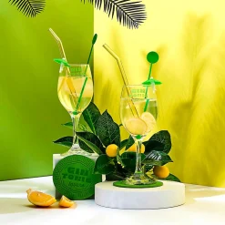 Coffret cocktail Gin tonic 10 pièces