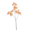 Fleur artificielle lathyrus pêche h75cm