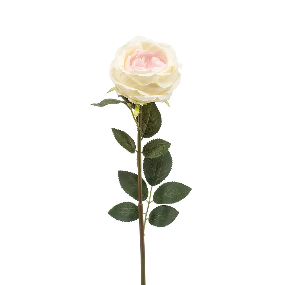 Fleur artificielle rose crème h65cm