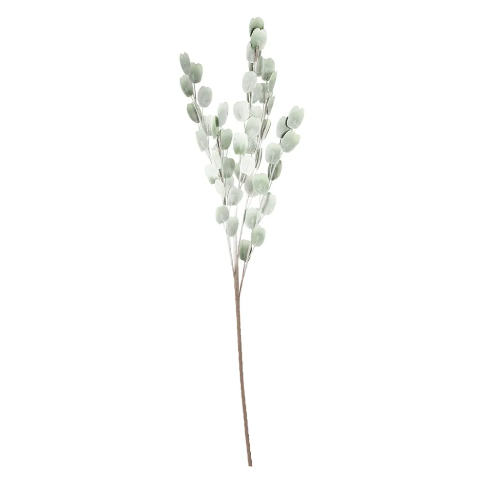 Fleur cerisa vert