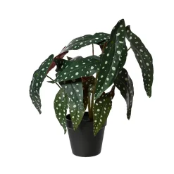 Plante artificielle Begonia avec pot h40cm