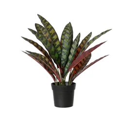 Plante artificielle Calathea avec pot h43cm
