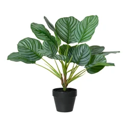 Plante artificielle Calathea avec pot h50cm