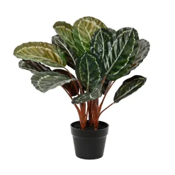 Plante artificielle Calathee avec pot h47cm