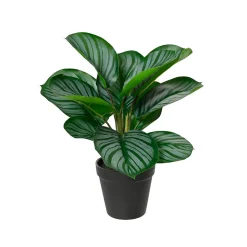 Plante artificielle Calathea avec pot h34cm