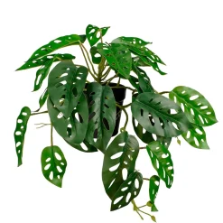 Plante artificielle en pot monstera