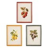 Torchons x3 en coton cerises, citrons, figues 50x70cm - Damoer