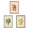 Torchons x3 en coton pommes, raisins, poires 50x70cm - Damoer